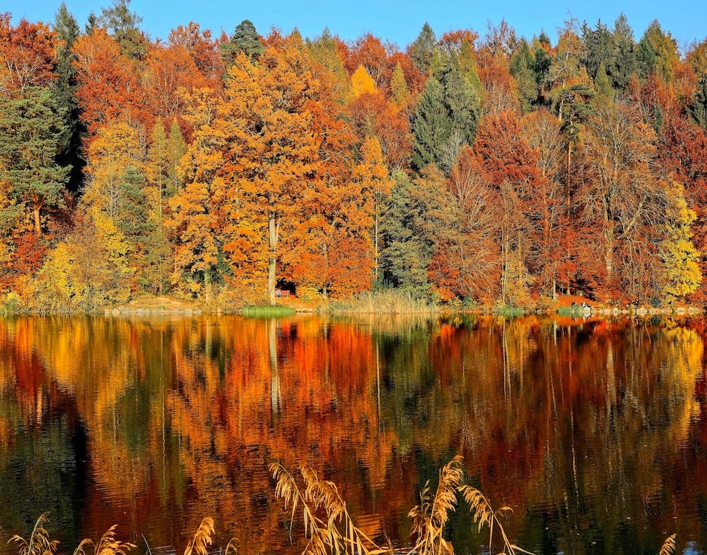 Autumnal Colors of the trees reflected in a lake