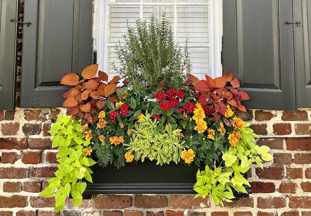 Floral Window Box