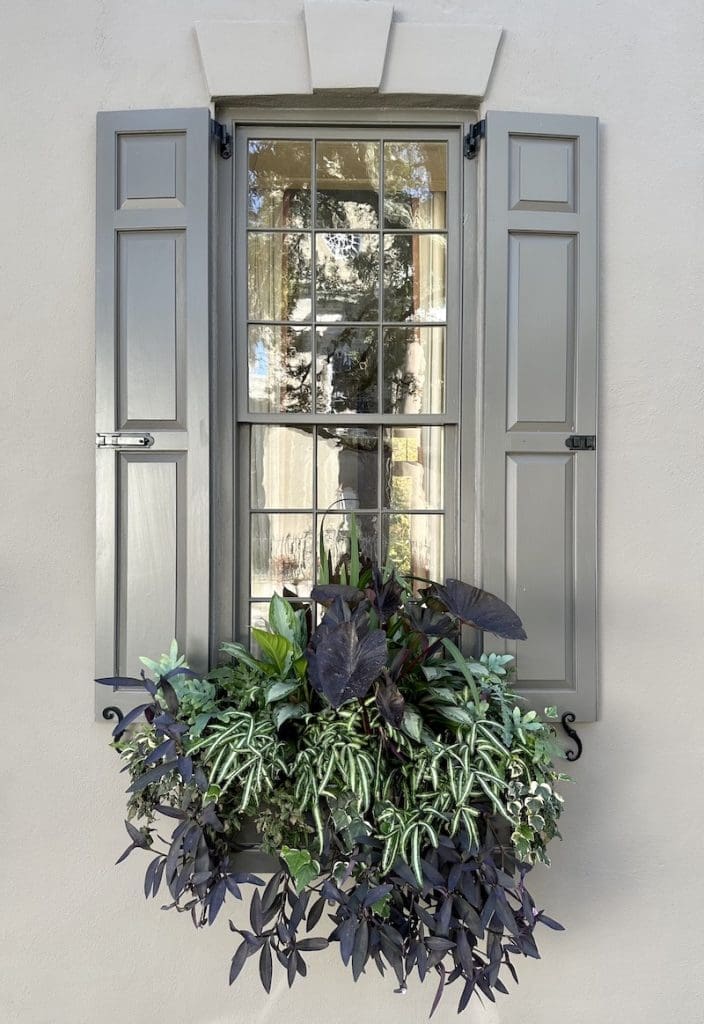 Window Box