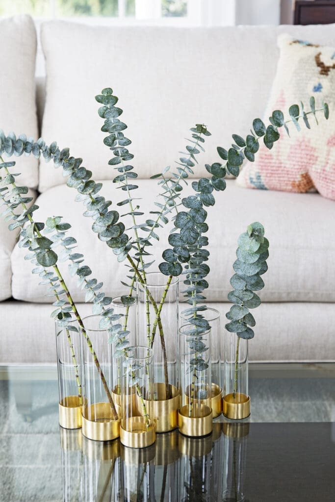 Eucalyptus in vases